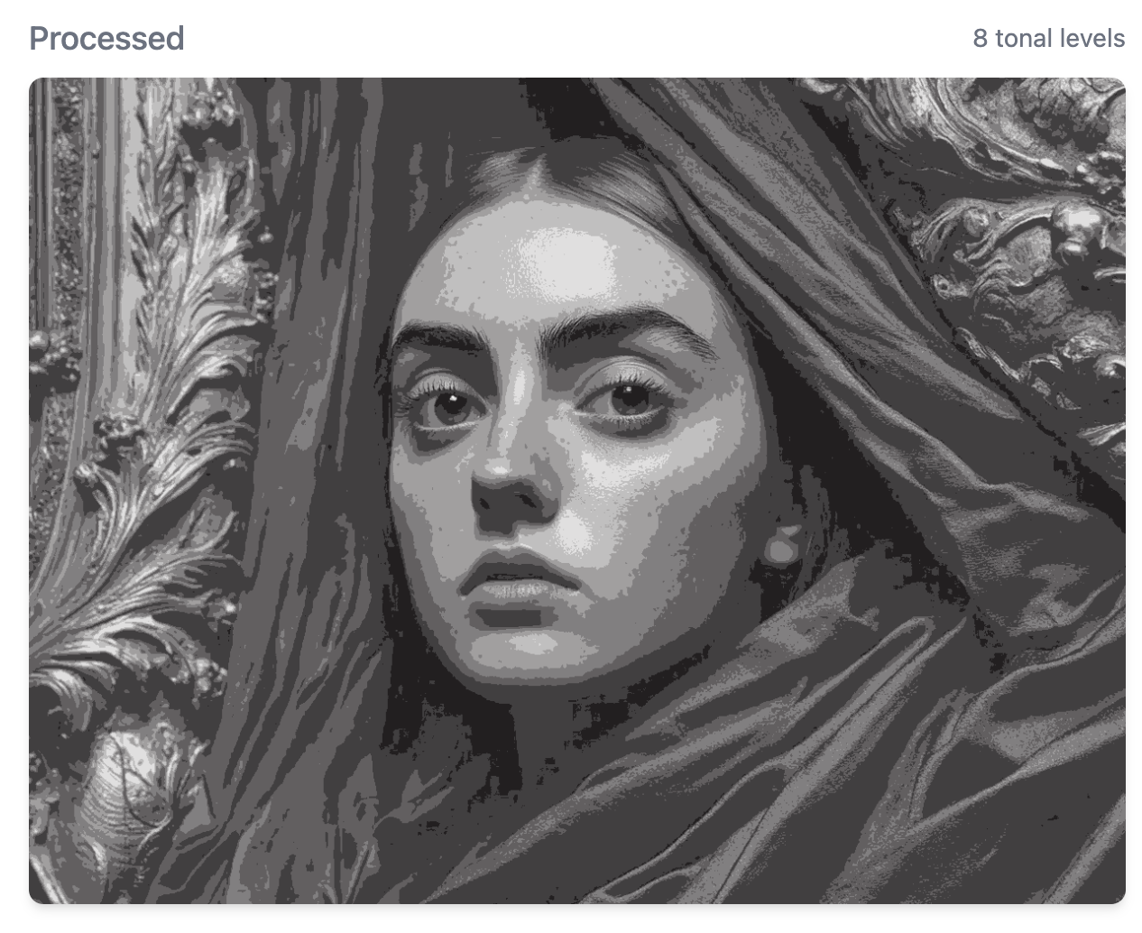 The same image converted to show up to 16 distinct tonal values for easier painting reference